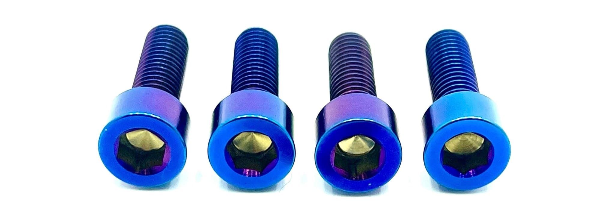 Titanium Axle Pinch Bolt Kit | FastAce ALX32RC Forks, E-Ride Pro SS 3.0 & SR